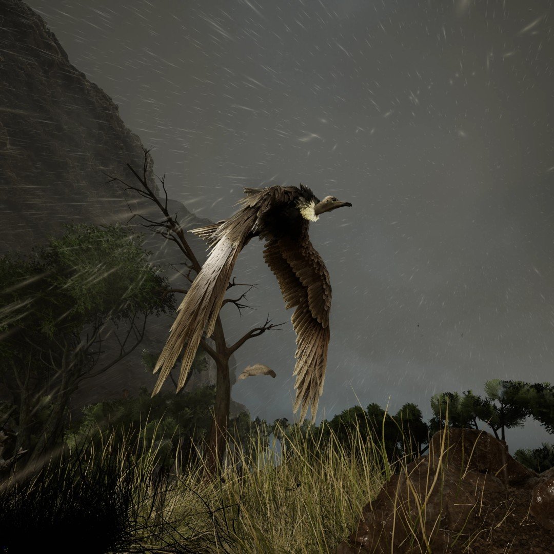 AfricaStorm_04 (Large)