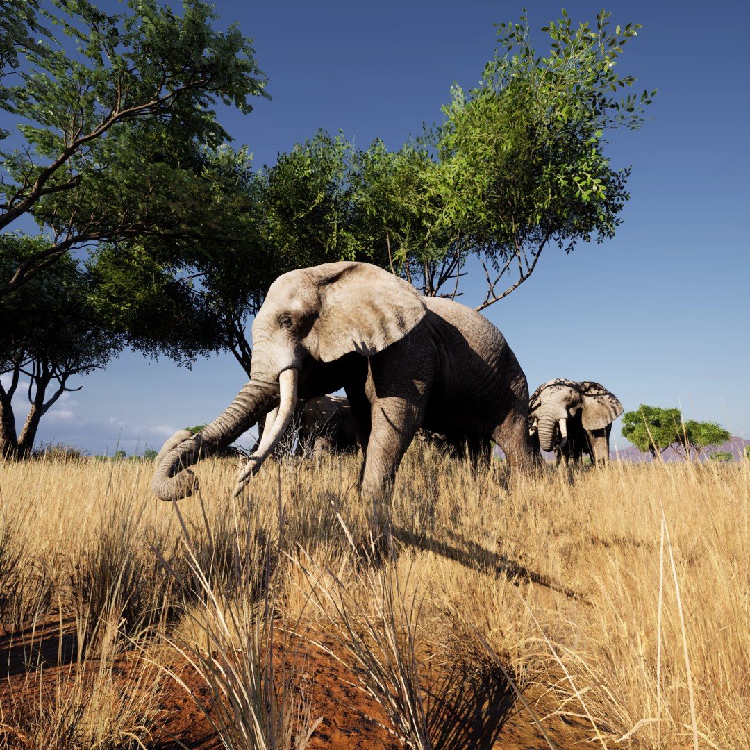 ElephantHerd_01 (Large)