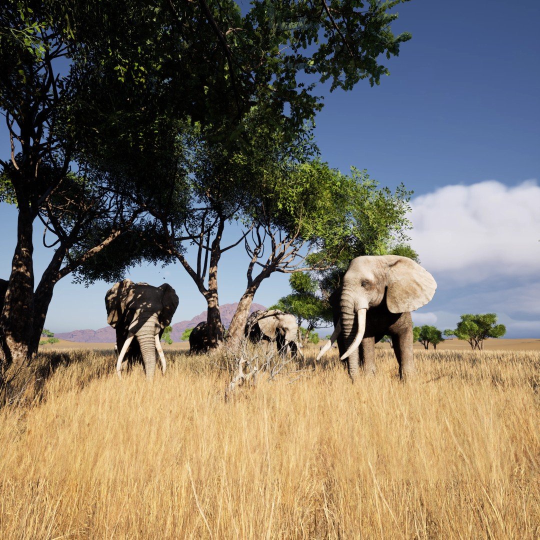 ElephantHerd_02 (Large)