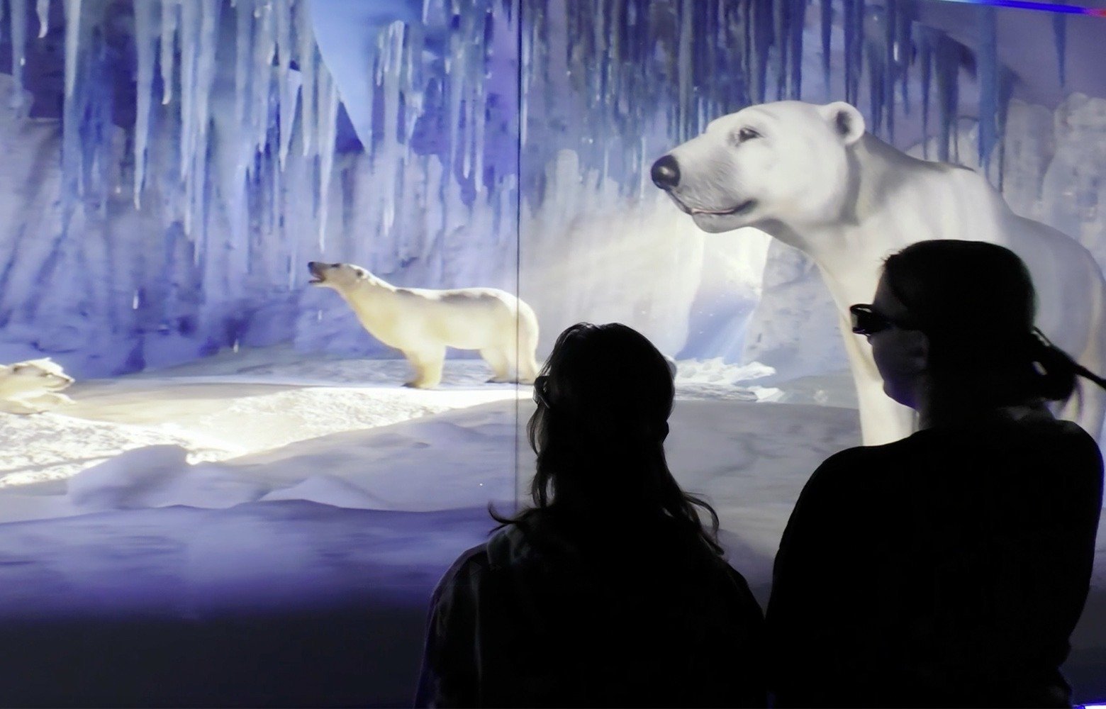 imgi_12_Arctic_Gallery_1560x1000-Polar-Bear-2 (1)