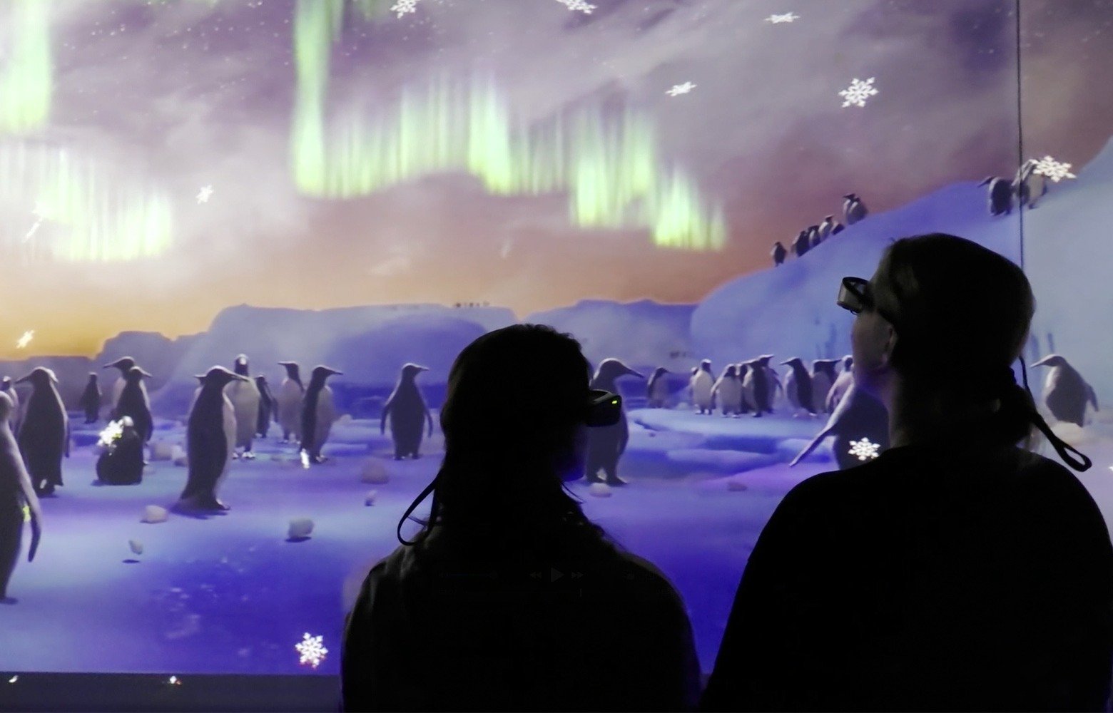 imgi_13_Arctic_Gallery_1560x1000-Northen-Lights