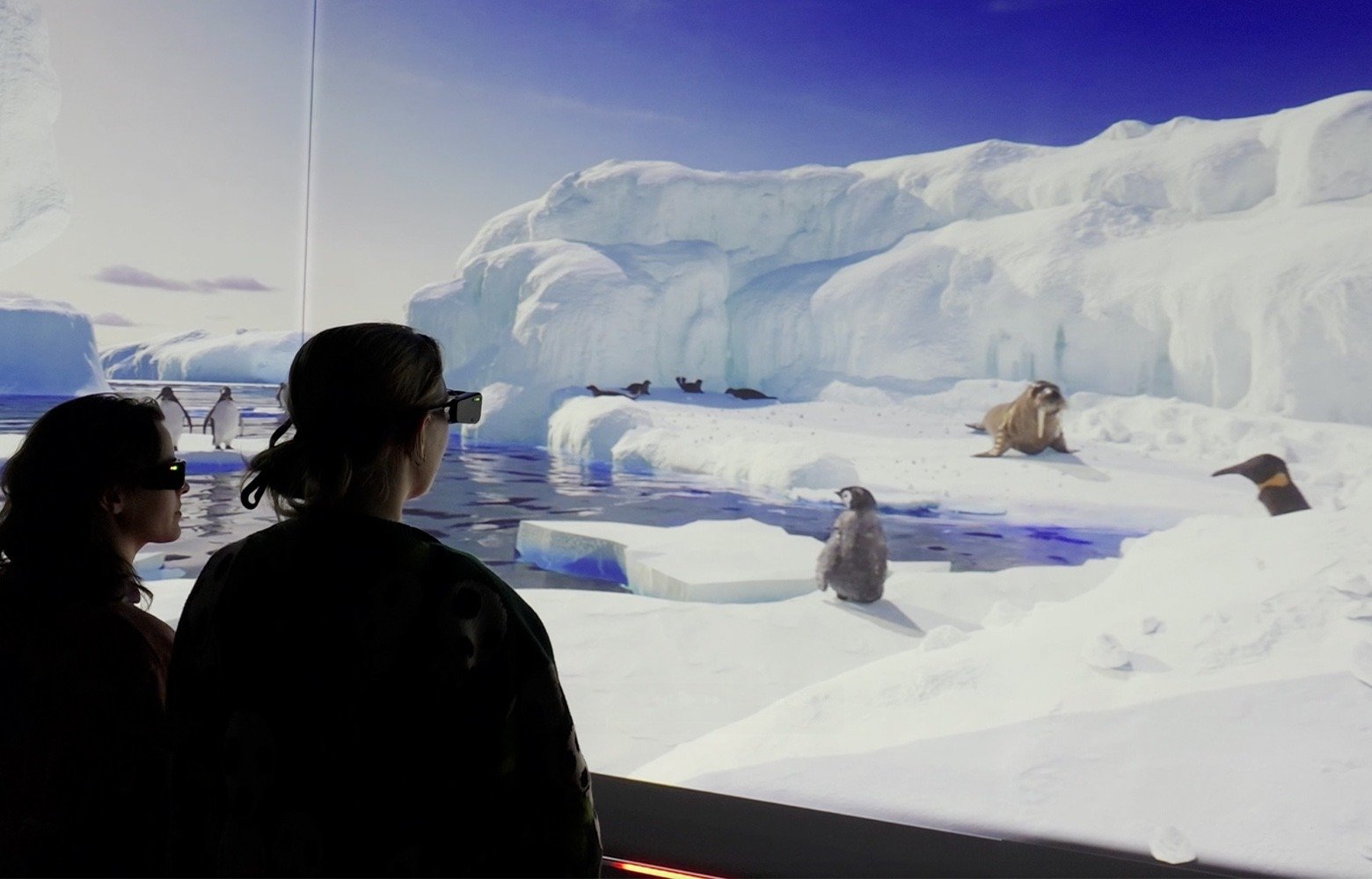 imgi_14_Arctic_Gallery_1560x1000-Penguin