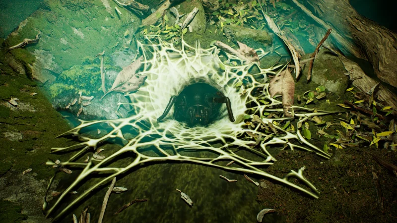 Australia_FunnelWeb_1