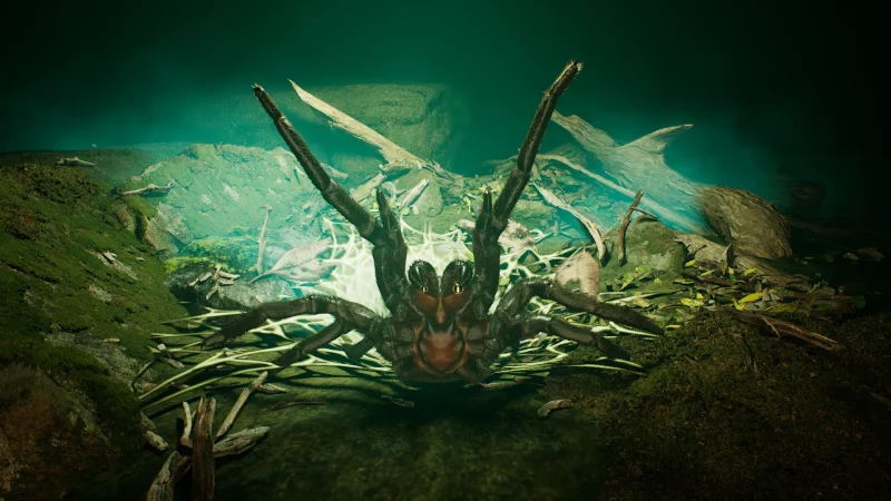 Australia_FunnelWeb_2