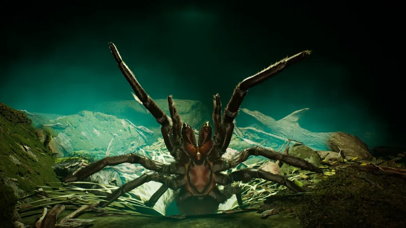 Australia_FunnelWeb_3