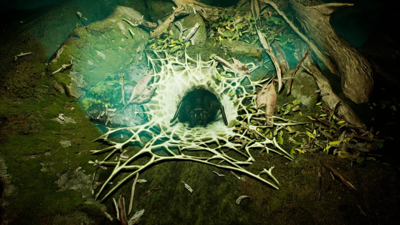 Australia_FunnelWeb_4