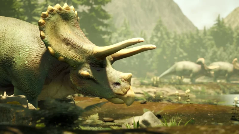 Dinosaurs_Triceratops_12