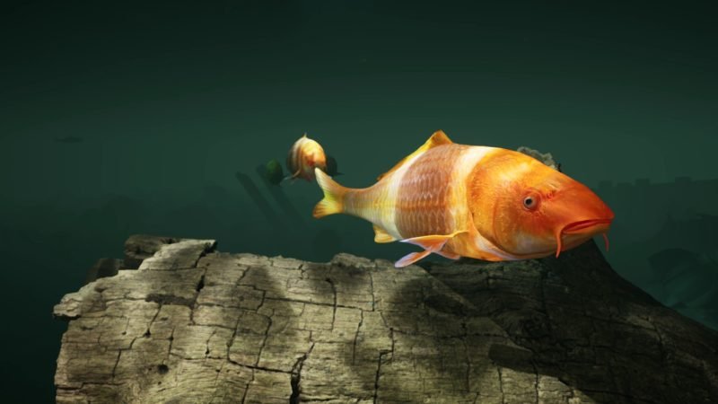 RiverFesitval_02 (Large)