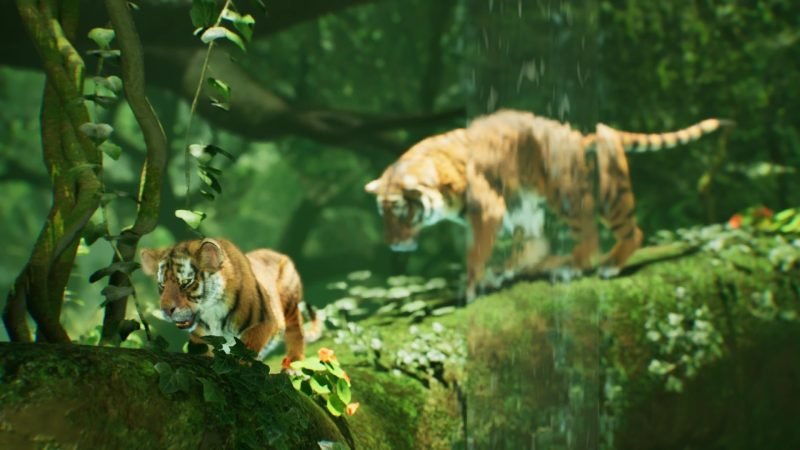 TigerForest_01 (Large)