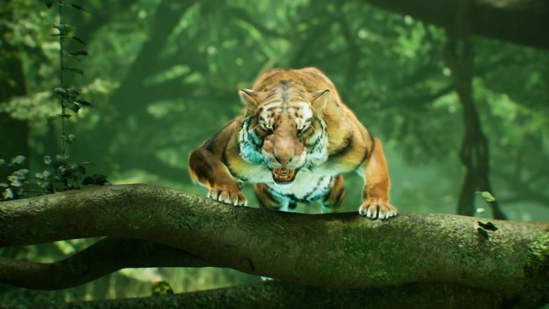 TigerForest_02 (Large)